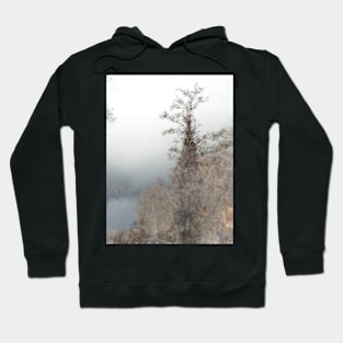 Autumn Mystery Hoodie